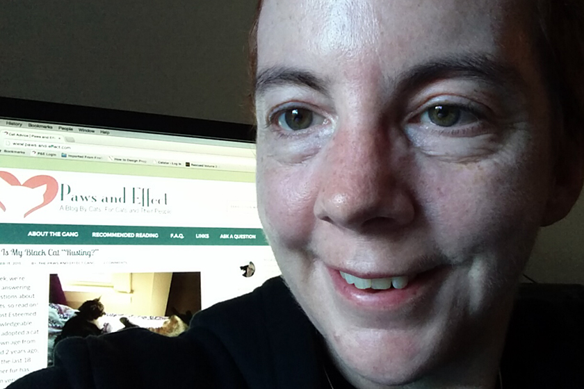 successful blogging